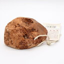 ♪レビューで特典♪Maoripet BrucBool スナック&チュー S(犬用 噛むおもちゃ ストレス解消 歯石除去 デンタルケア マオリペット)
