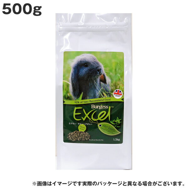 ڤڡۥǥޥ С  ӥå  500g (Ϸ ˥)