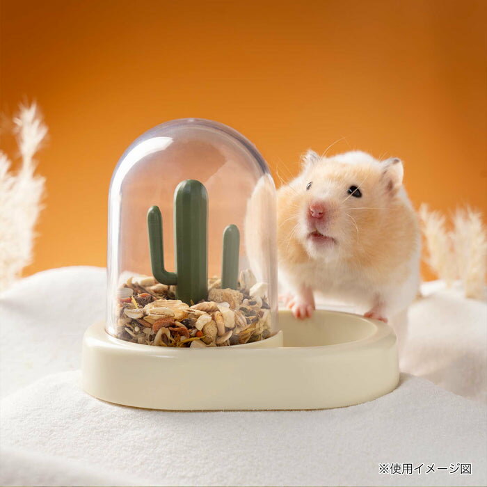 ルークラン ミオファン カクタスフィーダー イエロー