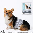M-PETS 洗える男の子用オムツ WASHABLE XL