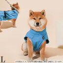 M-PETS ドッグレインコート L ブルー