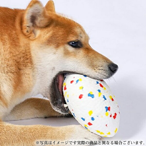 M-PETS ドッグトイ ブルームラグビー カラフル(犬用おもちゃ 犬用玩具)