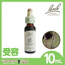 バッチフラワーレメディ ゴース(GORSE) 10ml(ペット 動物に フラワーエッセンス)(4)