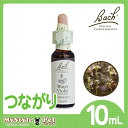 バッチフラワーレメディ ウォルナット(WALNUT) 10ml（ペット 動物に フラワーエッセンス）