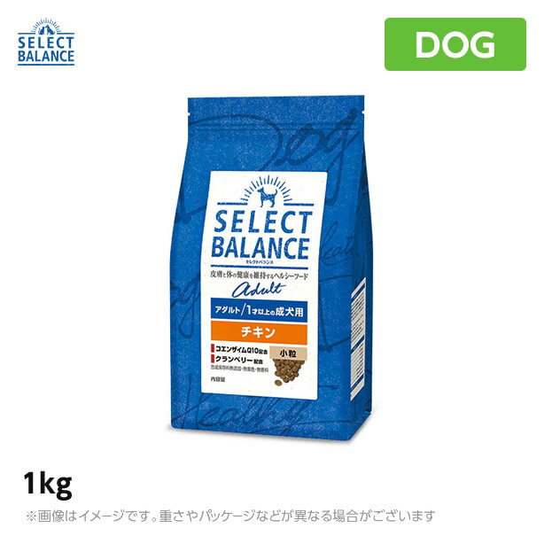 Rakuten - セレクトバランス アダルトチキン 小粒 1kg ドッグフード 成犬(1070200) （ペットフード ドライフード 成犬用ドッグフード 犬用品） (老犬用 シニア)
