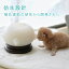 おすすめ！大人気 哺乳乳首 2021年新型 ペット用品 猫用品 猫プレゼント ミルク 便利 碗型デザイン 犬 可愛い
