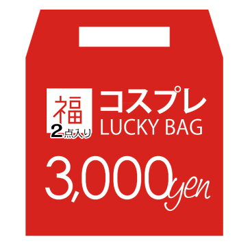 【他の商品と同梱は不可】セクシー 福袋 2022 レディース 福袋 エロい あす楽 即日発送 fb23