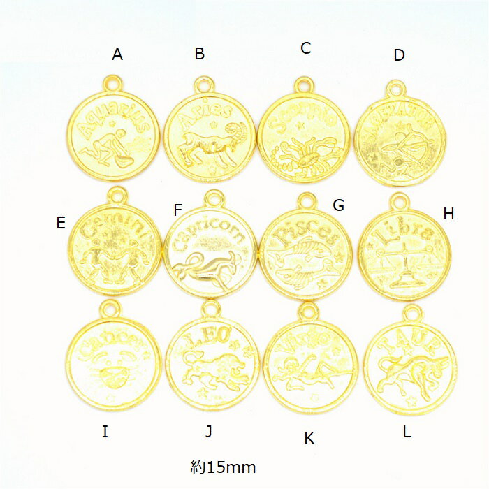 12星座 十二星座 チャーム ピアスパーツ アクセサリーパーツ 1個