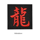 龍 ドラゴン 漢字 ワッペン アップリケ アイロン対応 1枚