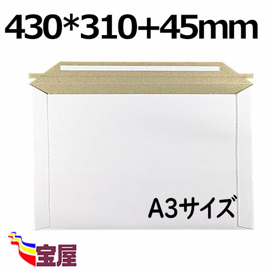 Amazon.co.jp: 【Siphonインク】A3サイズ 対応 厚紙封筒 A3