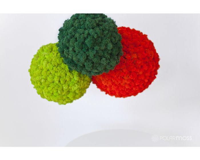 BALL�ʵ���ˡ�60cm�� ���ꤷ�ʤ��Ƥ�OK�����ƥʥ󥹥ե꡼��ŷ��/�⥹���ݡ�����/�ץꥶ���֥ɥե��ֺ�