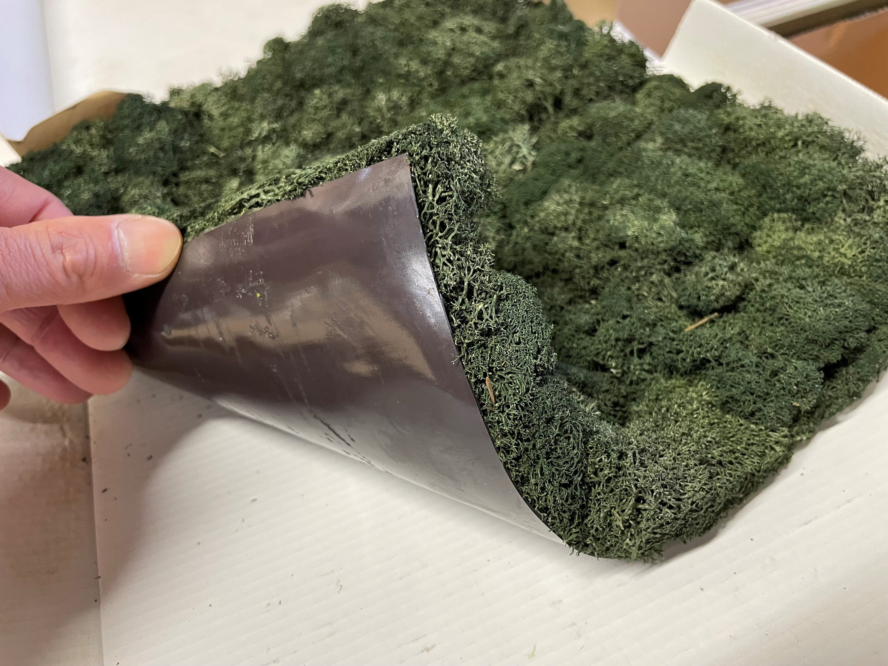 ���ꤷ�ʤ��Ƥ�OK�����ƥʥ󥹥ե꡼��ŷ�������⥹��ޥ��ͥåȥ����ס��30cm��30cm��/�⥹���ݡ�����/�ץꥶ���֥ɥե��ֺ�