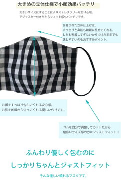 売尽くし!【500円ポッキリ!※返品交換不可】【MyuのFashionマスク(ギンガム)(kbm172)】マスク マスク 洗えるマスク 布マスク 大人用 子供用 女性用 個包装 母の日 1480【返品交換不可/メール便OK】メル2 2006