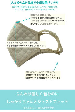 【900円ポッキリ!※返品交換不可】MyuのFashionマスク♪【ベロアキルティングマスク(1枚)(kbm205)】 布マスク キルティング 洗えるマスク 布 大人用 女性用 冬 冬物 大人かわいい おしゃれ レディース 母の日 Myu bm 1280【返品交換不可/メール便OK】2012 税込