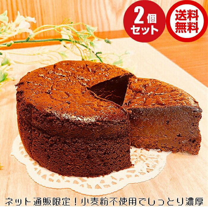 せいちゃんのガトーショコラ 5号 2ホール 送料無料 手土産 お返し お中元 夏ギフト 父の日 誕生日 ギフト プレゼント お取り寄せ 贈り物 バースデーケーキ チョコレートケーキ バースデー 誕生日ケーキ 濃厚 小麦粉不使用 スイーツ チョコケーキ チョコレート チョコ 高級