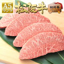 松阪牛 A5 ミスジ ステーキ 400g ミスジステーキ ギフト 2025 A5等級 ステーキ肉 ステーキ用 牛肉 和牛 お肉 肉 松良 【送料無料】 黒毛和牛...