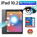 iPad 10.2 保護フィルム ブルーライト