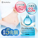 現役薬剤師が監修 マイウェルシー 生きた 乳酸菌 ビフィズス菌 耐酸性カプセル 30カプセル(30日分) 5兆個 サプリ 植物発酵エキス 難消化性デキストリン オリゴ糖 イヌリン ナットウキナーゼ 腸活 菌活 腸内環境 サプリメント 女性 日本製