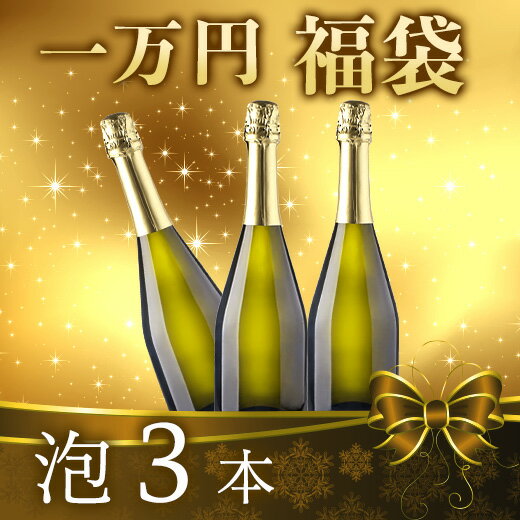 【送料無料】 【一万円福袋】泡3本 福袋 【W03100】
