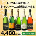 【対象2セット購入で800円OFFクーポン】トリプル＆W金賞...