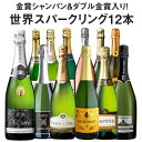 【送料無料】 金賞シャンパン＆ダブル金賞入り！世界銘醸国の泡12本セット 第6弾【7793066】 ワインセット 辛口 スパークリングワイン 泡