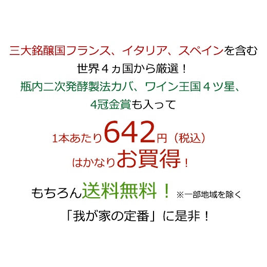 【送料無料】 51％OFF 瓶内二次発酵製法カバを含む世界銘醸国の泡12本セット 第39弾 スパークリングワイン 辛口 ワインセット 【7793869】