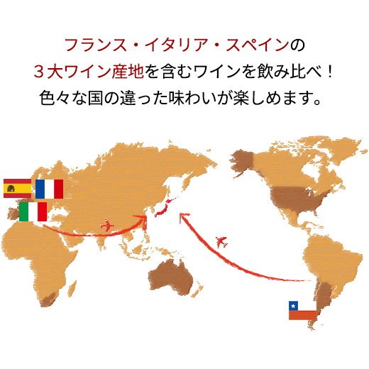 【 特別 送料無料 】 【シリコンキャップ付き】1本たったの598円(税込) 3大銘醸地入り 世界選りすぐり赤ワイン11本セット 129弾【7793916】 | 金賞 飲み比べ ワイン ワインセット wine wainn ボルドー フランス イタリア スペイン お買い得 ギフト
