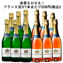 【55％OFF】 フランスのスパークリングワイン「ジョージ・15世」2種12本セット ロゼワイン スパークリングワイン 辛口 ワインセット 【7794964】