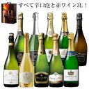 【送料無料】 ボックスワイン付!4冠金賞カバ入り!すべて辛口スパークリング10本セット 【7789971】 スパークリングワイン 辛口 ワインセット