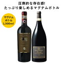 【送料無料】 ワインの王バローロとキャンティ クラシコ マグナムボトル2本セット 赤ワイン フルボディ ワインセット 【7794460】