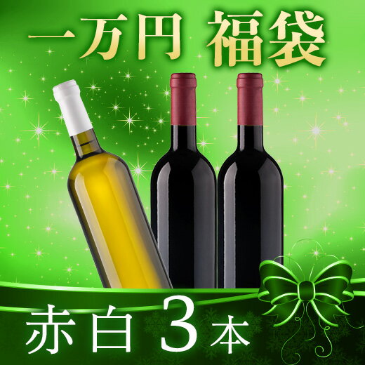 【送料無料】 【一万円福袋】赤白3本 赤ワイン 白ワイン ワインセット 福袋 【7766880】
