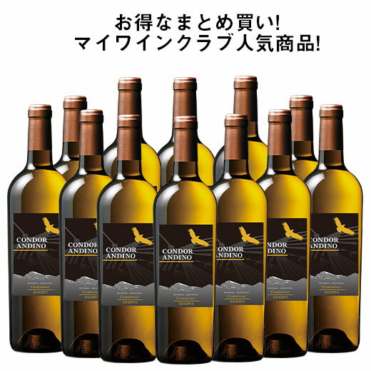 【送料無料】 コンドール・アンディーノ・レセルバ・シャルドネ12本セット 白ワイン 辛口 ワインセット 【7790505】