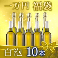 【送料無料】 【一万円福袋】白泡10本 赤ワイン 白ワイン スパークリングワイン ワインセット 福袋 【7791126】