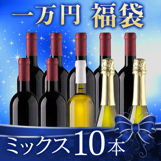 【送料無料】 【一万円福袋】ミックス10本 赤ワイン 白ワイン スパークリングワイン ワインセット 福袋 【W00261】