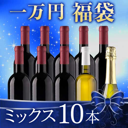 【送料無料】 【一万円福袋】ミックス10本 赤ワイン 白ワイン スパークリングワイン ワインセット 福袋 【W00868】