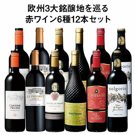 【送料無料】 すべて金賞!欧州三大銘醸地赤ワイン6種12本セット 第2弾 赤ワイン ワインセット 【W00908】のサムネイル