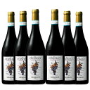 ケース買い!高評価イタリア・ピエモンテの赤ワイン1種6本セット 赤ワイン ワインセット 【W02975】