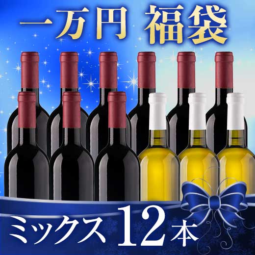 ̵ ڰʡޡۥߥå12 ʡ W03097