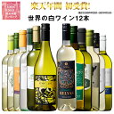 【9/1限定 P最大8倍】【 送料無料 】49%OFF 三大銘醸地&金賞入り!世界の辛口白ワイン12本セット 第62弾 白ワイン ワインセット 辛口 【7767469】