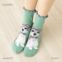 シュナウザー 犬柄 ロークルー丈ソックス 23-25cm レディース 靴下 動物 as-ans037