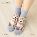 ミニチュアダックス 犬柄 ロークルー丈ソックス 23-25cm レディース 靴下 動物 STREAM as-ans038