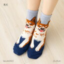 柴犬 犬柄 ロークルー丈ソックス 23-25cm レディース 靴下 動物 as-ans042