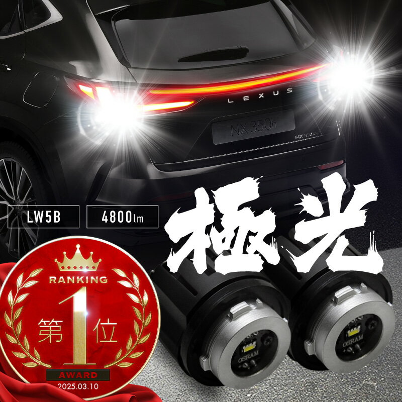 レクサス NX バックランプ LED lw5b タイプB 爆光 明るい ホワイト 白 バルブ 汎用 2個