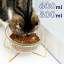 ペットフードボウル ペットフードボウルスタンドセット 猫 小型犬 中型犬 斜め 傾斜 食べやすい おしゃれ クリア 餌入れ スタンド 脚付き 600ml 800...