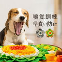 ノーズワーク マット ノーズワークマット 犬 おもちゃ 大型犬 小型犬 早食い防止 トレーニング エサ入れ 給餌マット 洗える すべり止め 知育玩具 知育マット...