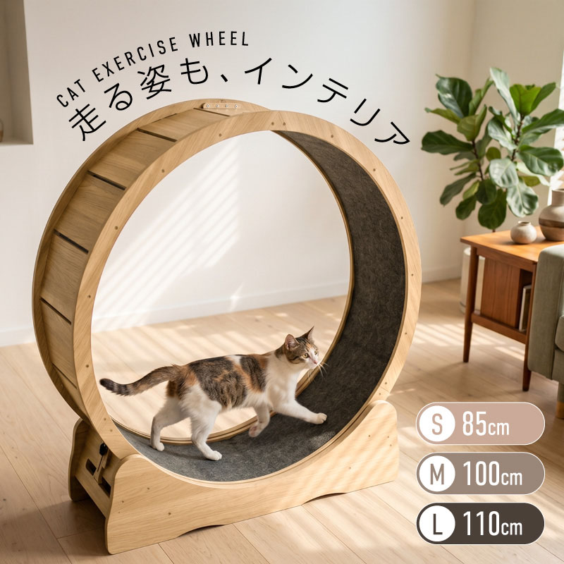 楽天市場】キャットホイール 大きいの通販