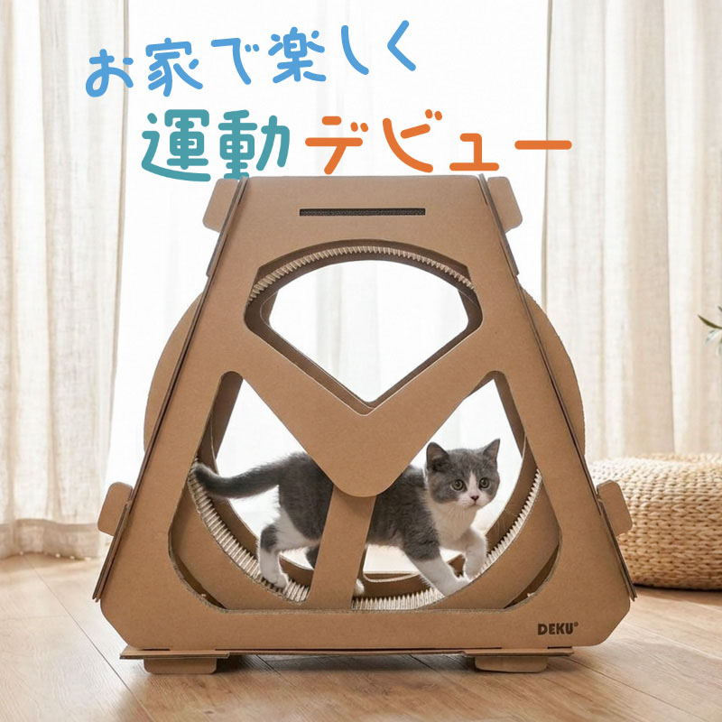 乐天商城 - キャットホイール 猫 静音 ランニングホイール 段ボール キャットランナー 回し車 爪とぎ 回転 運動不足 ストレス解消