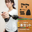 トレーニングチューブ フィットネスチューブ チューブトレーニング チューブトレーニングセット 5本セット ゴム ハンドル 高強度 女性 男性 筋トレチューブ ダ...
