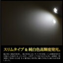 T10×31mm LED ホワイト 3528SMD×6連 6500K バルブ 白 2個 ルームランプ ナンバー灯 ラゲッジランプ カーテシランプ ルームライト ライセンスランプ 対応 2