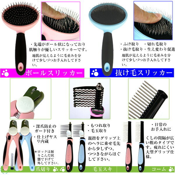 �ڥå� ���롼�ߥ� 6�����å� �ԥ� �ܡ��륹��å��� �֥롼 ȴ���ӥ���å���